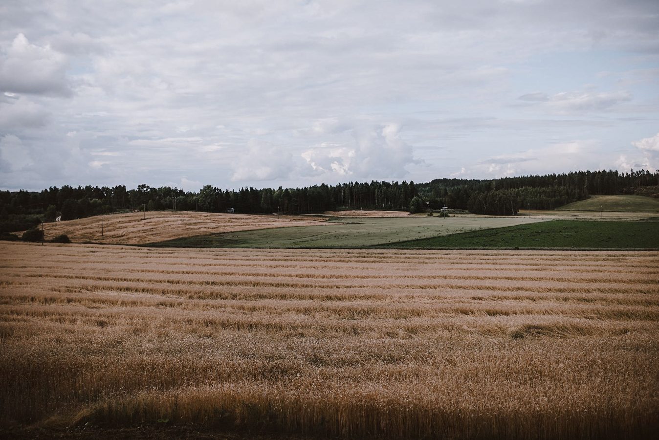 ville-anna-emilia-haat-775